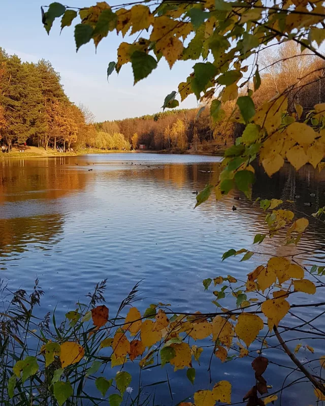 Отличное место для прогулки - озеро Комсомольское
