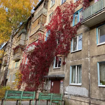 Посмотрите, какая красота в одном из казанских дворов: