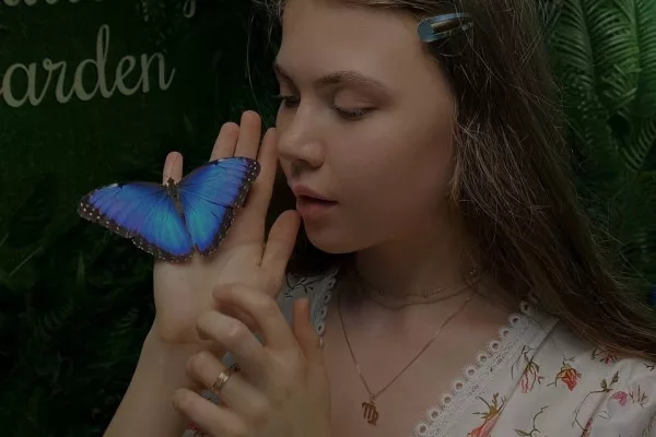 Butterfly Garden