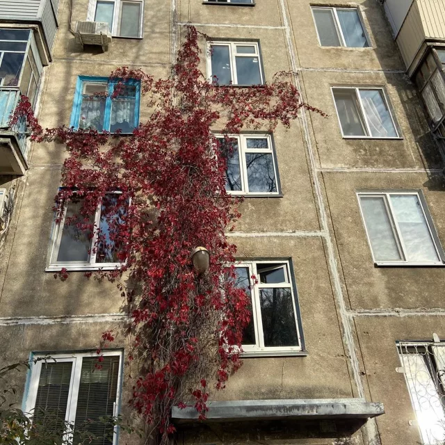 Посмотрите, какая красота в одном из казанских дворов: