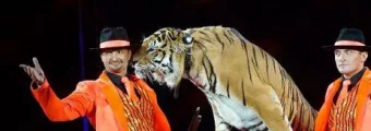 Казанский государственный цирк